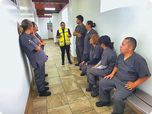 Capacitación en equipo